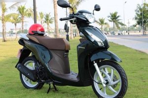 Chiếc xe vision màu xanh lục với đánh giá cao từ các chuyên gia