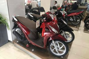 Xe Vision màu mận chín